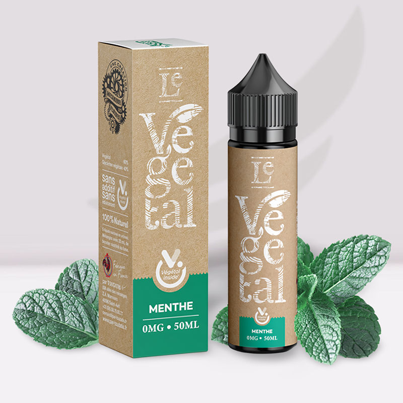 Menthe Le Végétal - Mécanique des Fluides